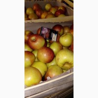 Продам яблоки Гренни Смит, Айдоред, Голден Делишес, Сербия