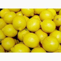 Продам лимон