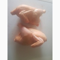Свежее мясо бройлерных цыплят, кур и другой домашней птицы