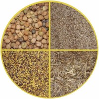 Семена многолетних и однолетних трав (люцерна, клевер, горчица, лён, вика, суданка и др)