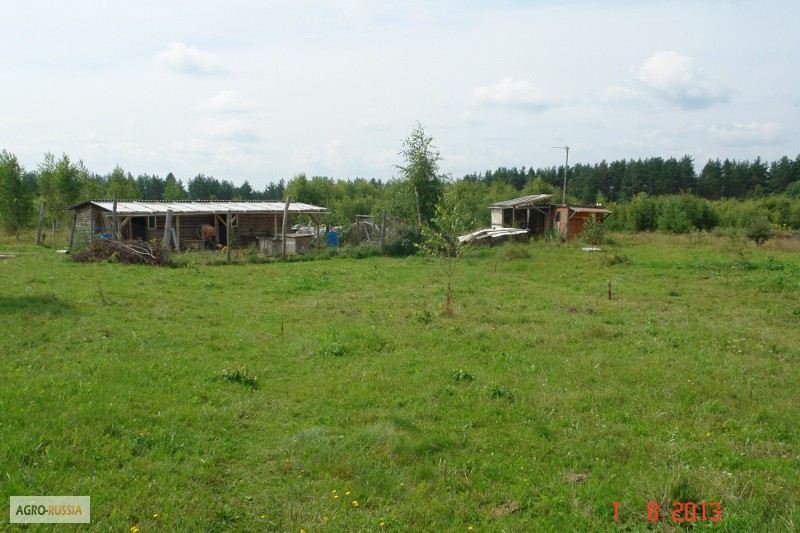Фото 13. Сдам или продам земельный участок 20ГА в 250 км от Москвы