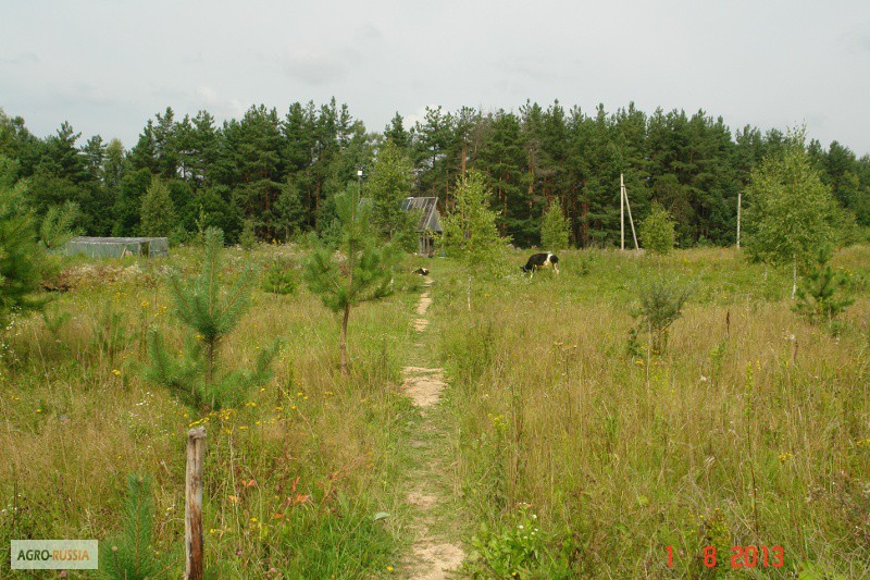Фото 7. Сдам или продам земельный участок 20ГА в 250 км от Москвы