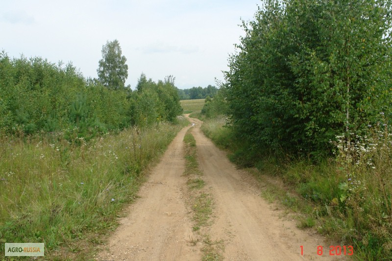 Фото 8. Сдам или продам земельный участок 20ГА в 250 км от Москвы