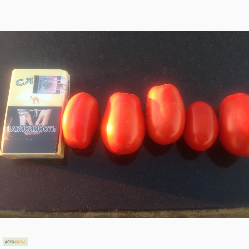 Фото 7. Продаю помидоры