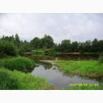 Продам крупный земельный участок в Вологодской области