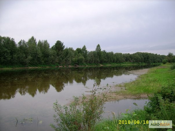 Фото 2. Продам крупный земельный участок в Вологодской области