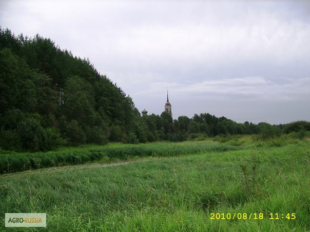 Фото 3. Продам крупный земельный участок в Вологодской области