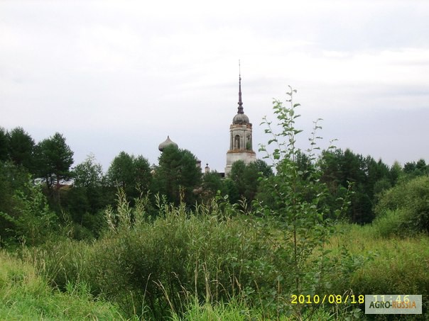 Фото 4. Продам крупный земельный участок в Вологодской области