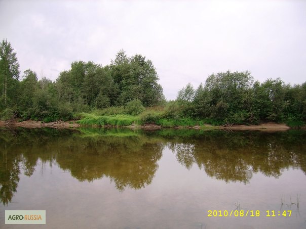 Фото 5. Продам крупный земельный участок в Вологодской области