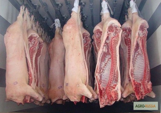 Фото 2. Мясо свинины охлажденное/замороженное, в наличии в Москве. Лучшее предложение