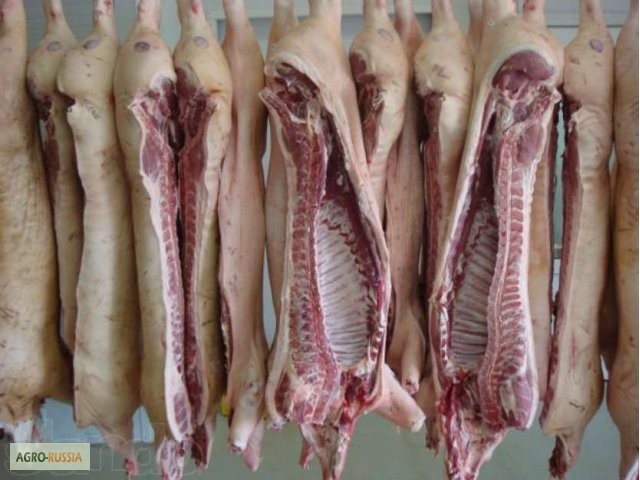 Фото 3. Мясо свинины охлажденное/замороженное, в наличии в Москве. Лучшее предложение