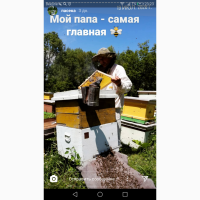 Пчеловод продает липовый мёд