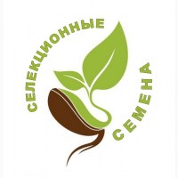 Продам семена масличных культур донской селекции