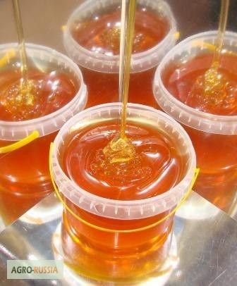 Алтайский мёд от пчеловода