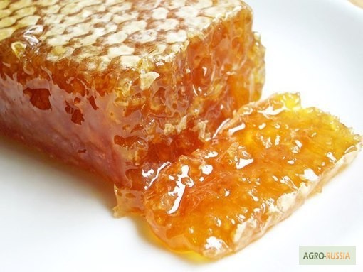 Фото 2. Алтайский мёд от пчеловода