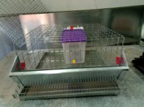 Фото 2. Клетка для содержания перепелов-несушек в г. Железнодорожный
