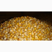 Кукуруза/овес/ячмень и другие кормовые доставка по Костромской области