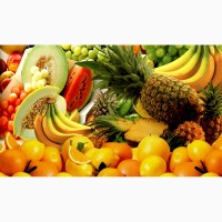 Сборные грузы овощей и фруктов из Москвы в Питер всего 1 500 рулей за паллет