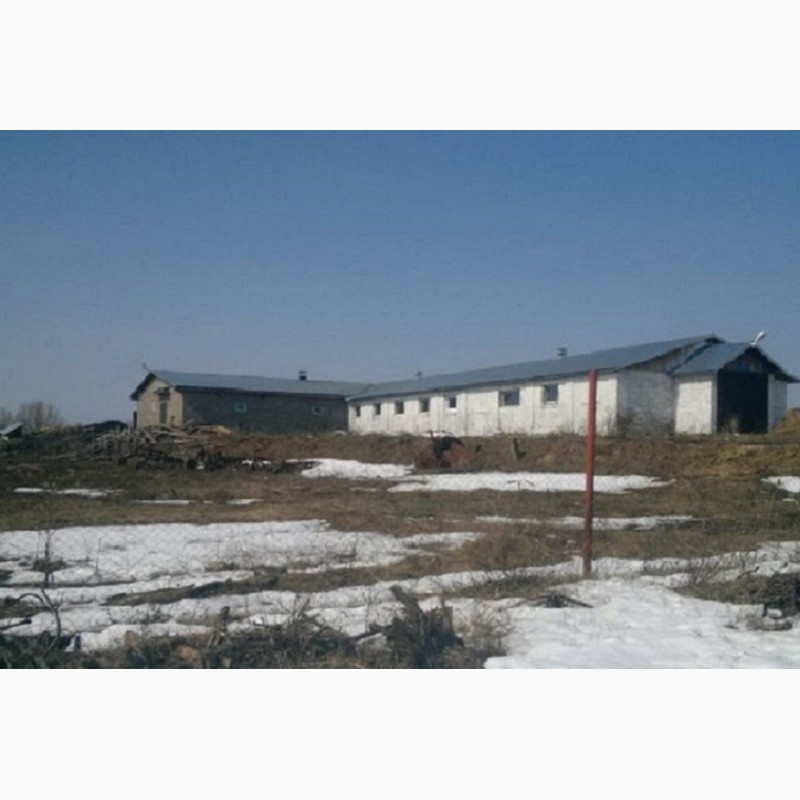 Фото 2. Продаю ферму (здание свободного назначения) с земельным участком