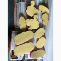 Продам картофель оптом (некондиция)