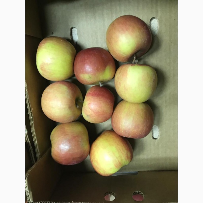 Фото 10. Продам яблоко (Молдова)