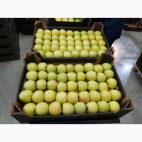 Продам яблоко (Молдова)