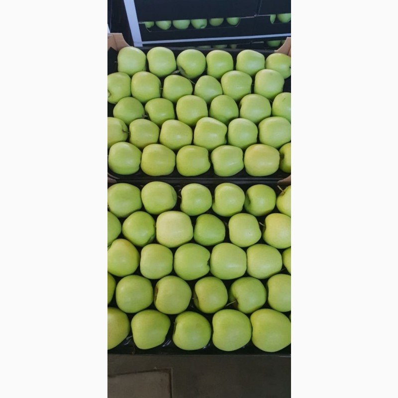 Фото 3. Продам яблоко (Молдова)
