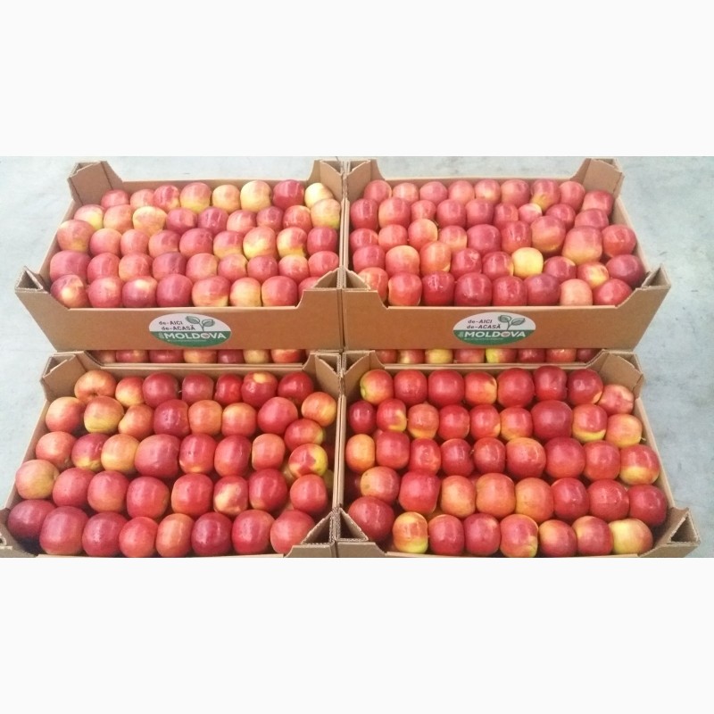 Фото 4. Продам яблоко (Молдова)