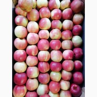 Продам яблоко (Молдова)