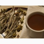 Оливковый чай. Греческий горный чай