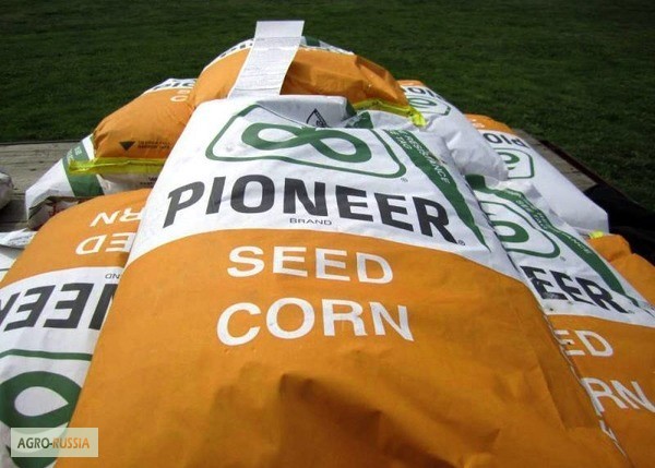 Фото 2. Семена кукурузы Пионер(PIONEER), США
