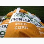 Семена кукурузы Пионер(PIONEER), США