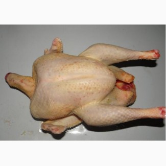 Свежее мясо домашней курицы