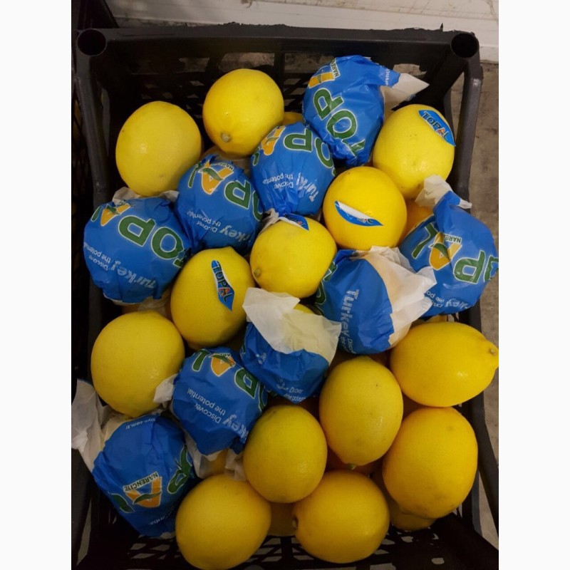 Фото 2. Продам лимон Турция свежий, сорт Ламас. Прямой поставщик