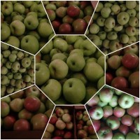 Яблоки свежие от производителя