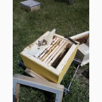 Каркасные ульи для пчел