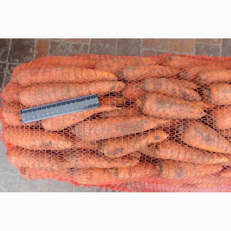Фото 2. Морковь оптом от производителя!сорт Купар, урожай 2018 года