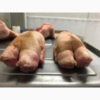 Продам свиные ноги