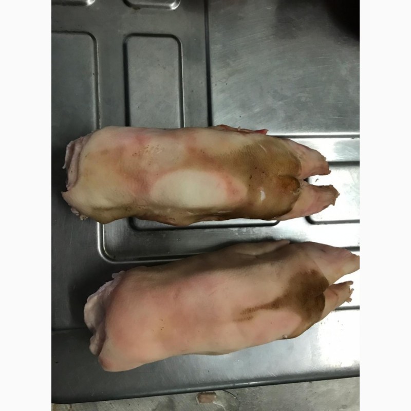Фото 5. Продам свиные ноги