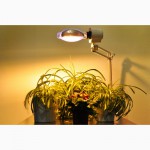 Фитосветильники для досветки рассады и растений Селектрод ДНаЗ 150 Вт