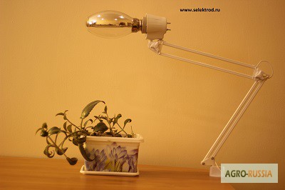 Фото 3. Фитосветильники для досветки рассады и растений Селектрод ДНаЗ 150 Вт