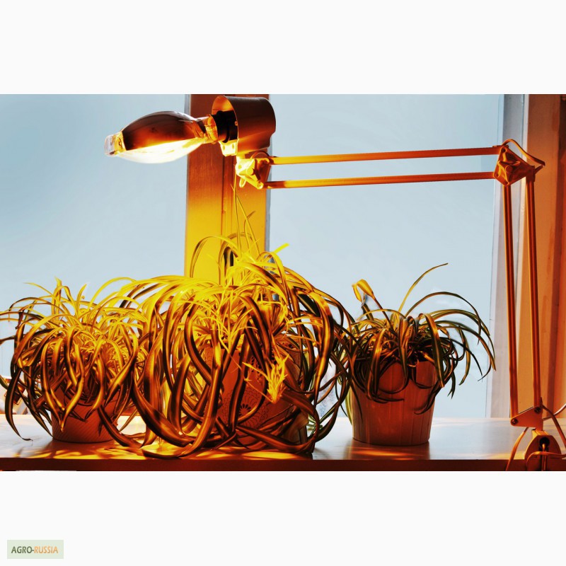 Фото 8. Фитосветильники для досветки рассады и растений Селектрод ДНаЗ 150 Вт