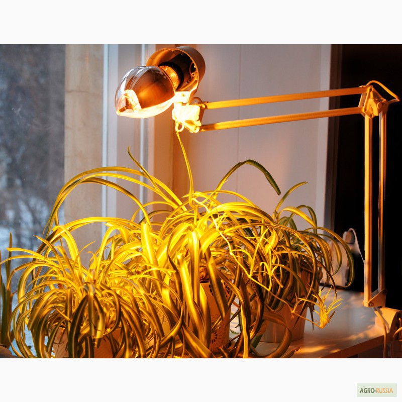 Фото 9. Фитосветильники для досветки рассады и растений Селектрод ДНаЗ 150 Вт