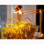 Фитосветильники для досветки рассады и растений Селектрод ДНаЗ 150 Вт