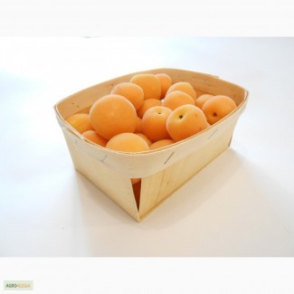 Эко контейнер из шпона для фасовки абрикосов