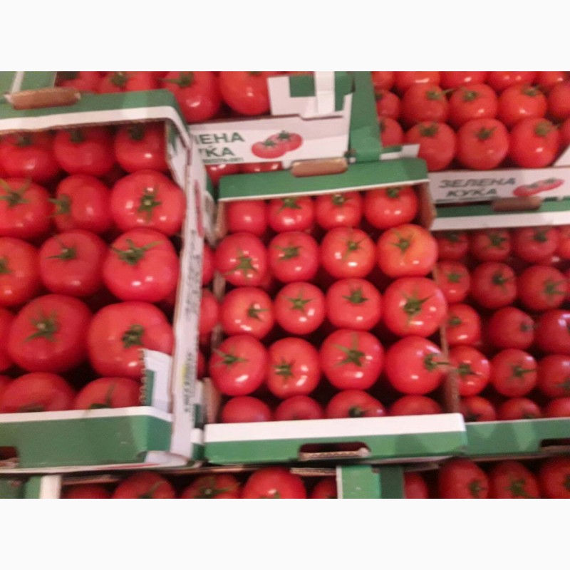 Фото 3. Продам помидори