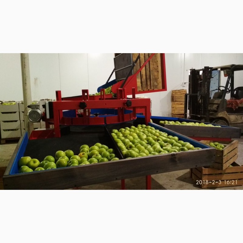 Фото 4. SORTER Линия / машина для калибровки и сортировки яблок и других фруктов и овощей