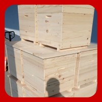 Улей для пчел на 12 рамок, одно корпусной на теплый и холодный занос