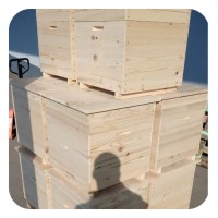 Улей для пчел на 12 рамок, одно корпусной на теплый и холодный занос