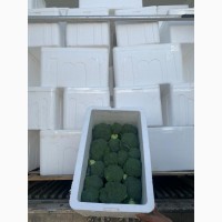 Продаем Брокколи, 0, 4-0, 5кг/шт., ящ.8, 0 кг, Иран